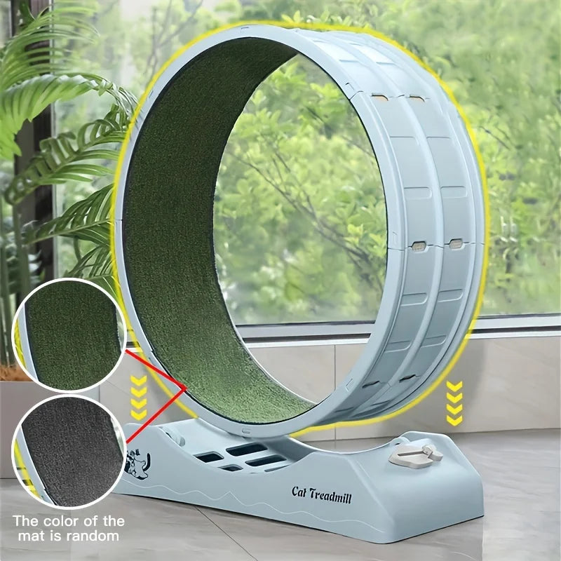 Jouets pour chats en gros, roue d'exercice interactive pour animaux de compagnie, cadre d'escalade pour chats, tapis de course pour chats