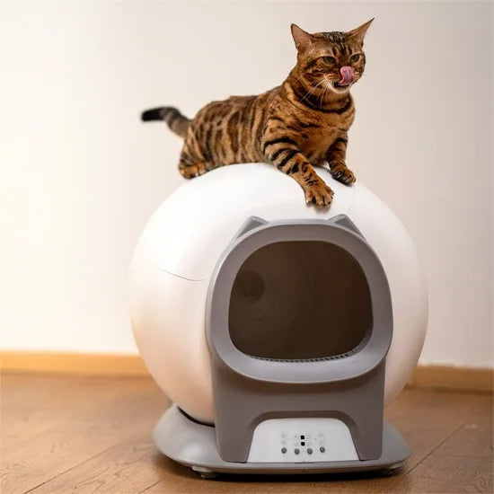 Electric Smart Litter Box Self Cleaning Cat Toilet Cat Litter Box Automatically