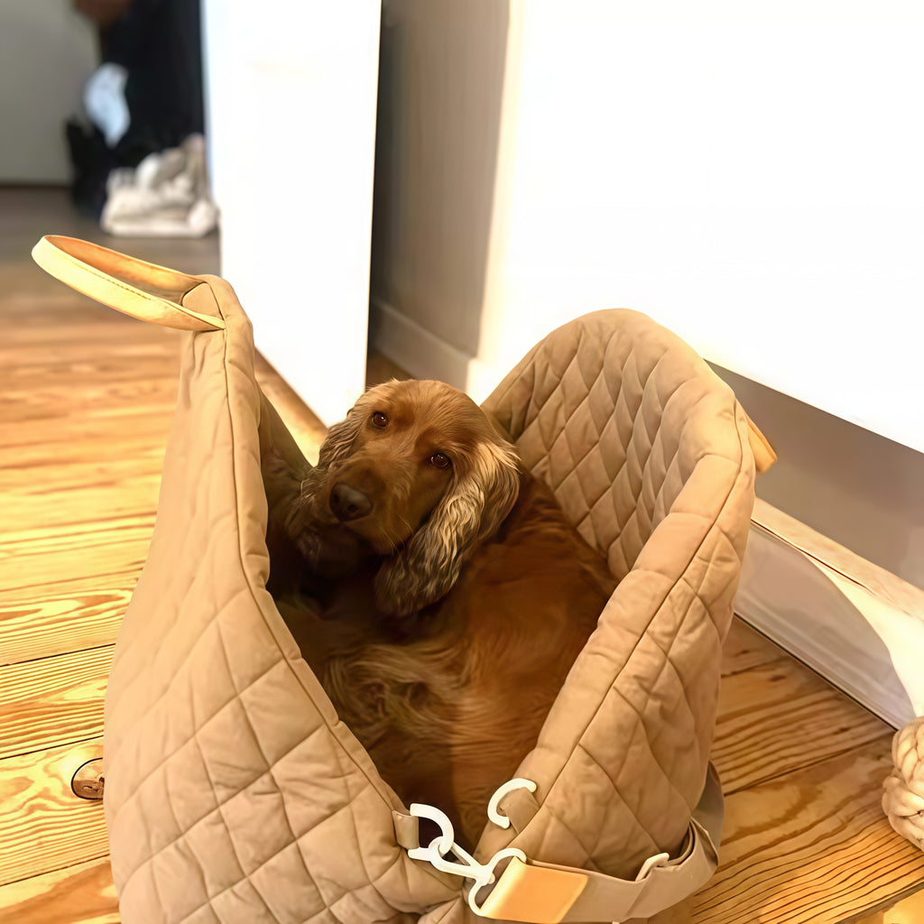 Cat Bag Outgoing Portable Pet Car Bag Cat Handbag Dog Carrying Bag Chai Dog Teddy Cat Kennel Cat Bag