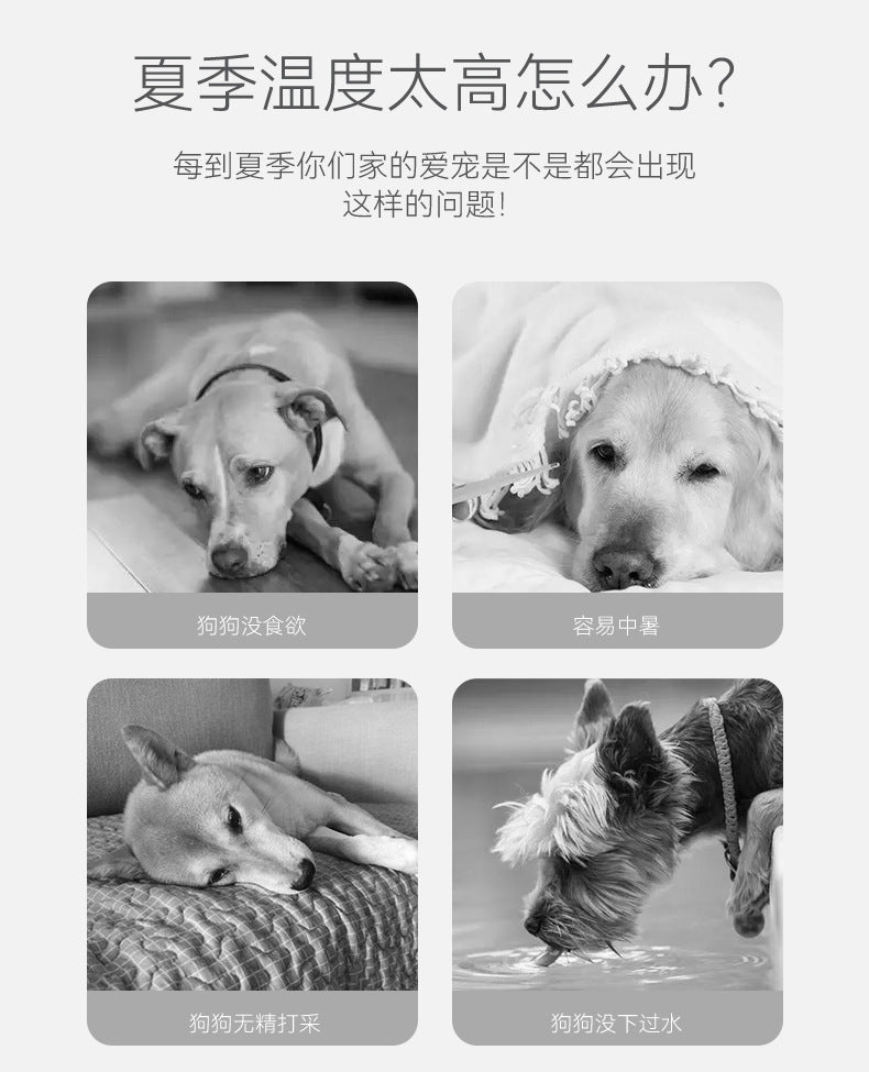 Summer Animal Modeling Small Bee Dog Life Jackets Medium Small Dog Universal Dog Swimsuit Pet Flotation Suit