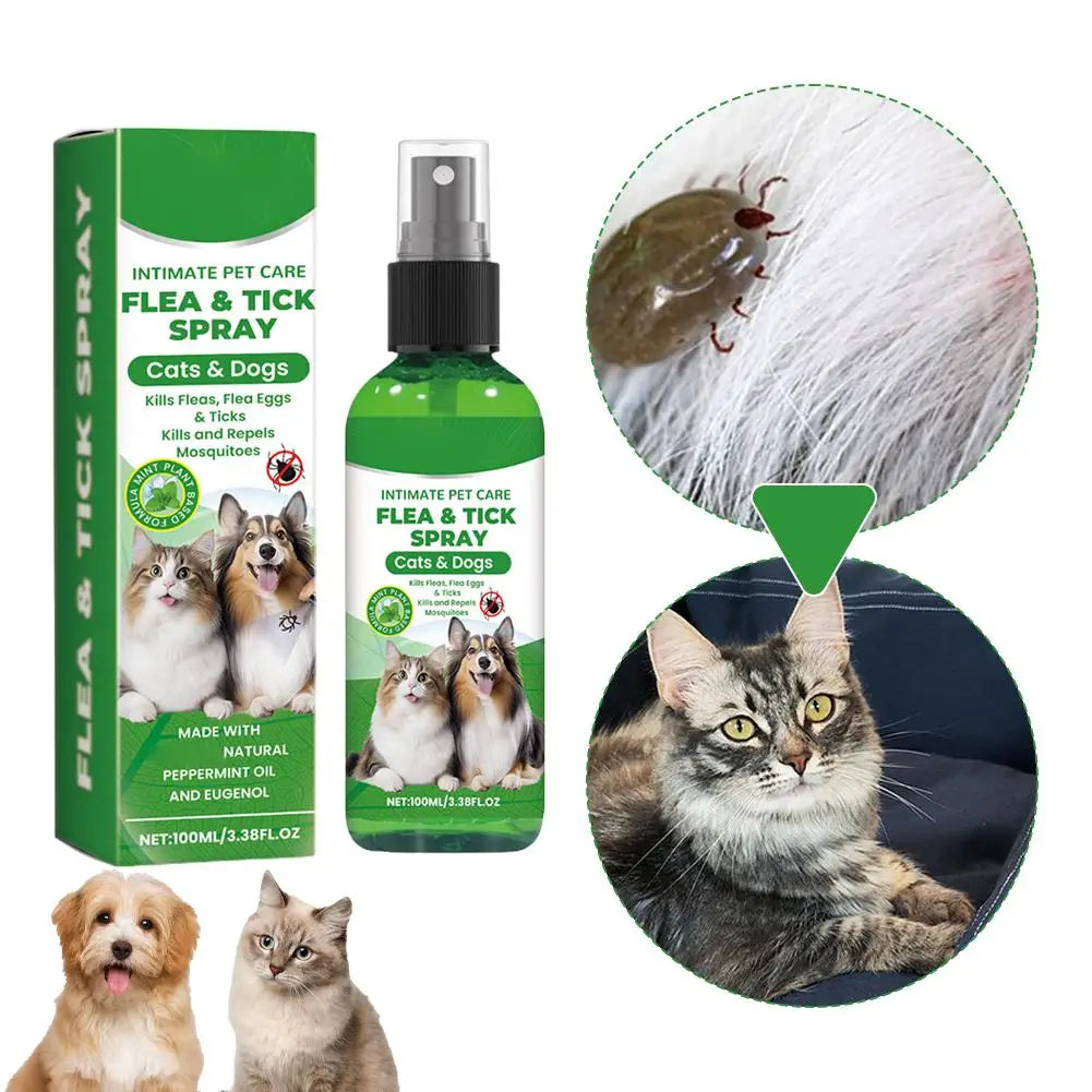 Spray Anti-Puces et Anti-Tiques pour Chiens et Chats 100ml Tue-Puces Soulage les Démangeaisons Répulsif Insectes Anti-Acariens Anti-Poux Soin des Animaux Tue-Moustiques