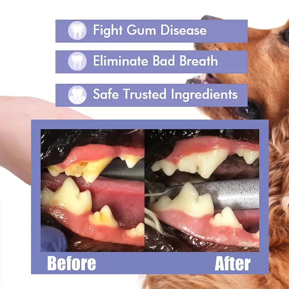 30ml Pet Dental Spray for Dogs and Cats Freshen Breath Remove Plaque Tartar Oral Care Water Additive Easy Use No Brush Needed