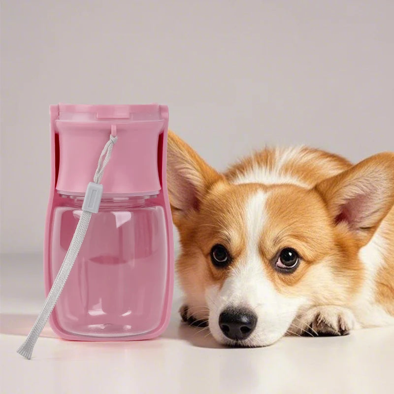 Gourde pour animaux de compagnie, distributeur d'eau pour animaux de compagnie, gamelle de voyage pliable pour animaux de compagnie, bouilloire pour chiens, gamelle pour chats, accessoires pour animaux de compagnie