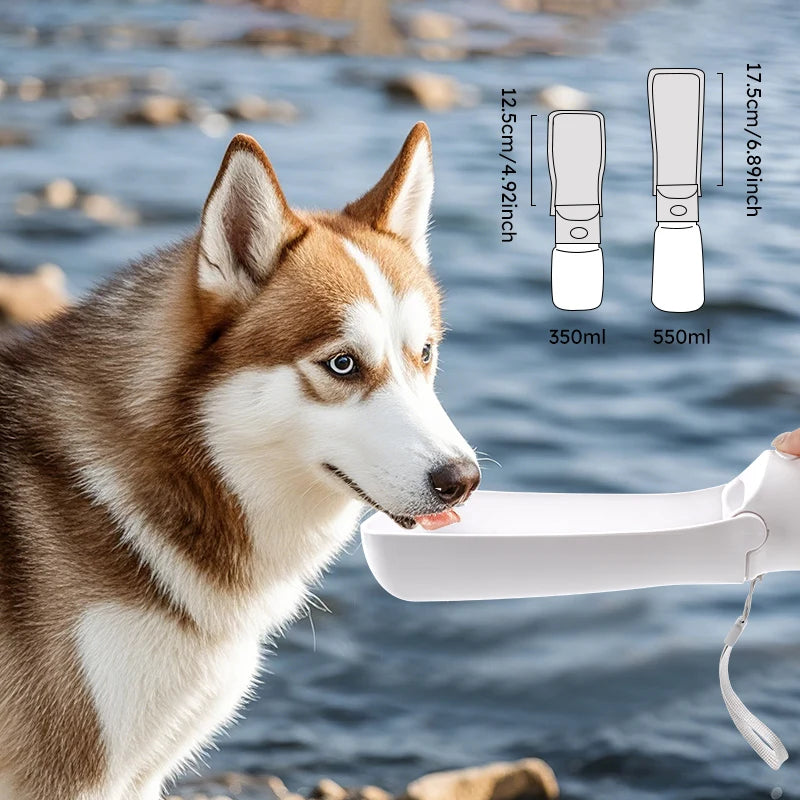 Gourde pour animaux de compagnie, distributeur d'eau pour animaux de compagnie, gamelle de voyage pliable pour animaux de compagnie, bouilloire pour chiens, gamelle pour chats, accessoires pour animaux de compagnie