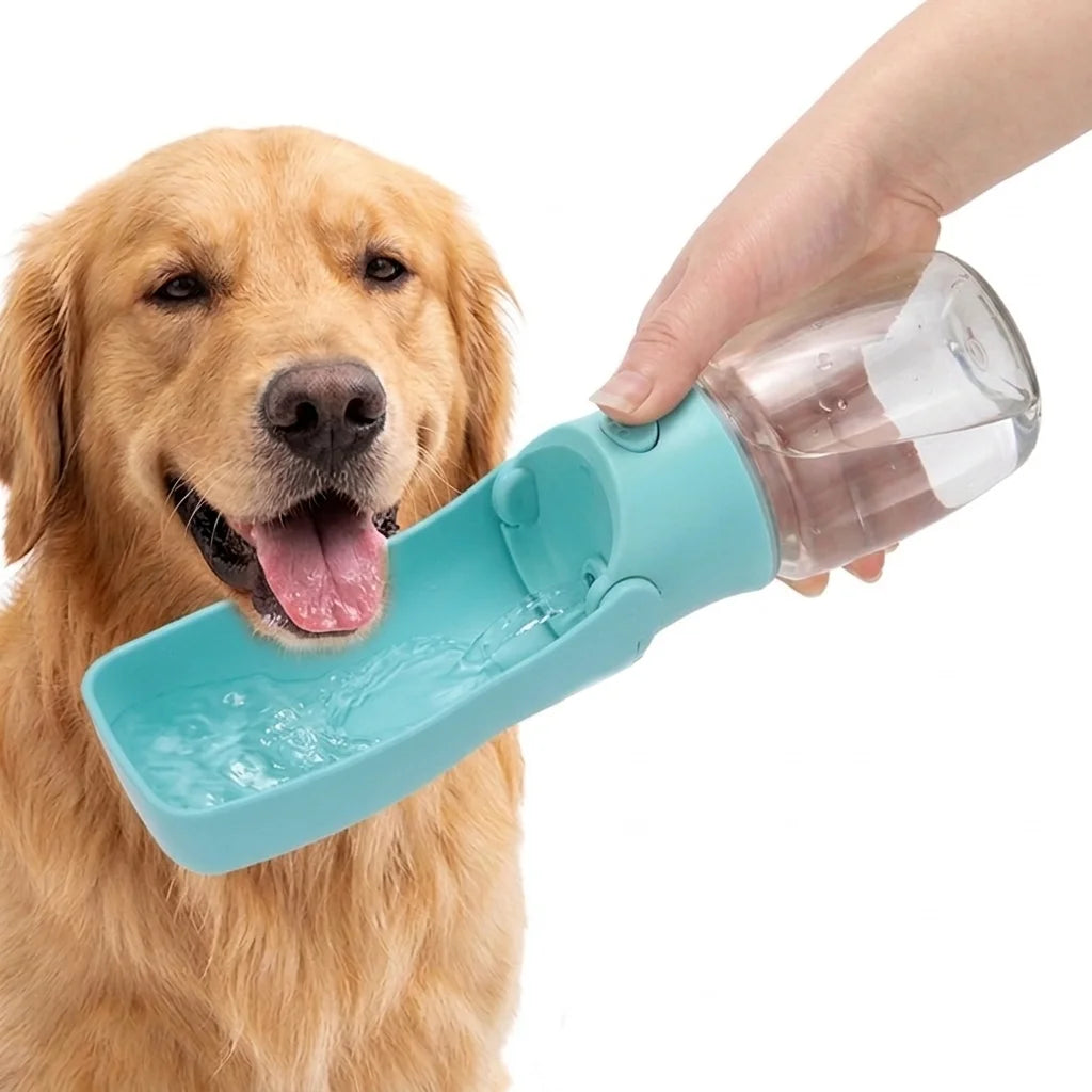 Gourde pour animaux de compagnie, distributeur d'eau pour animaux de compagnie, gamelle de voyage pliable pour animaux de compagnie, bouilloire pour chiens, gamelle pour chats, accessoires pour animaux de compagnie