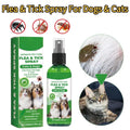 Spray Anti-Puces et Anti-Tiques pour Chiens et Chats 100ml Tue-Puces Soulage les Démangeaisons Répulsif Insectes Anti-Acariens Anti-Poux Soin des Animaux Tue-Moustiques
