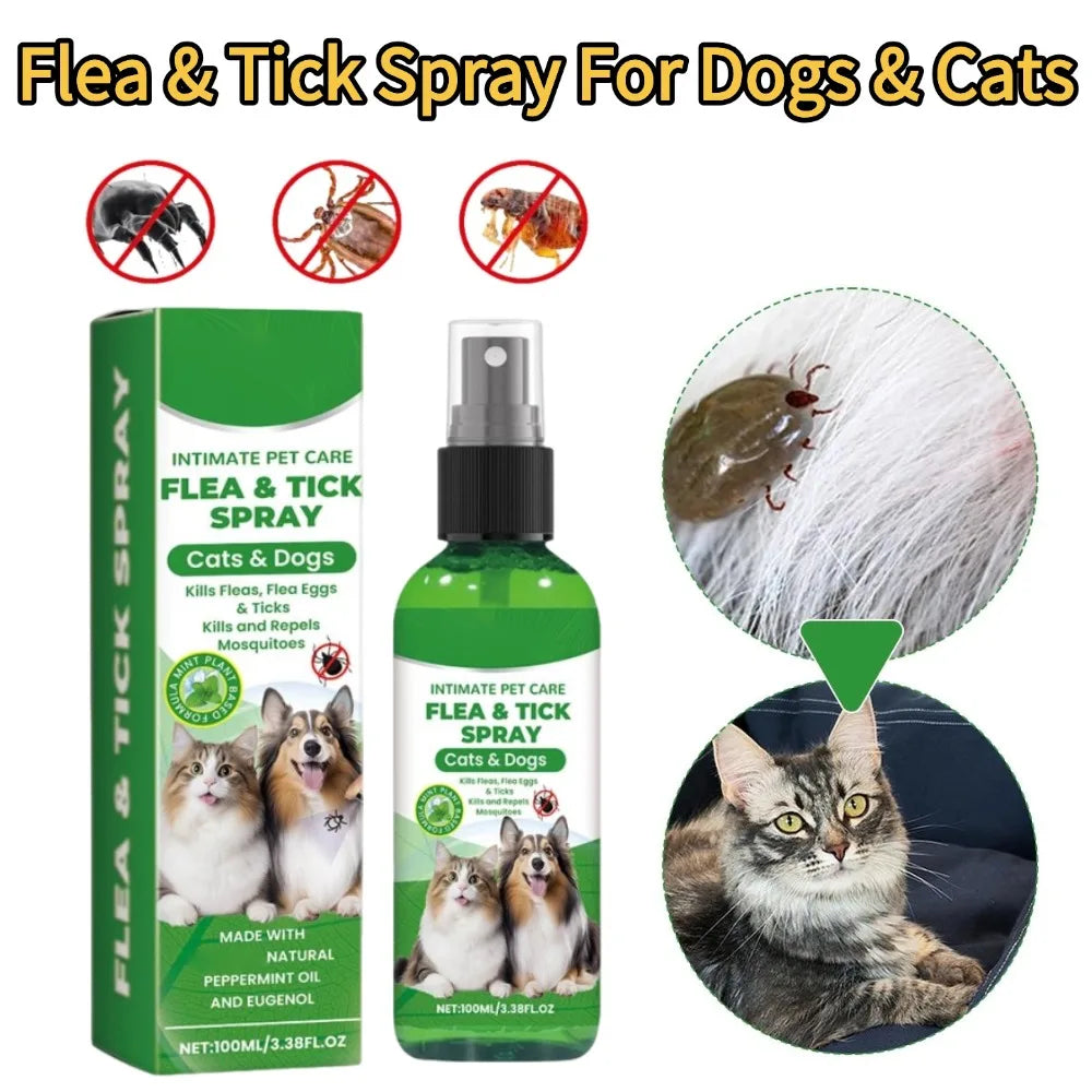 Spray Anti-Puces et Anti-Tiques pour Chiens et Chats 100ml Tue-Puces Soulage les Démangeaisons Répulsif Insectes Anti-Acariens Anti-Poux Soin des Animaux Tue-Moustiques