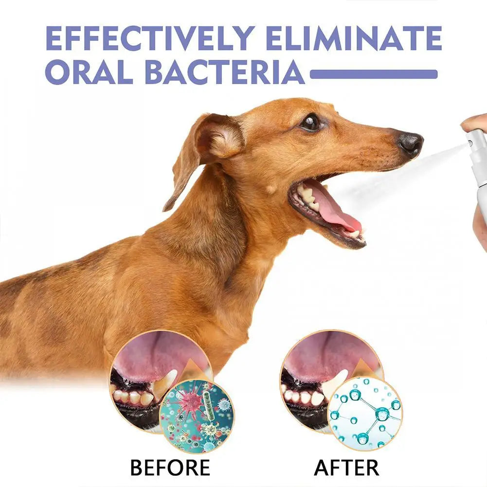 30ml Pet Dental Spray for Dogs and Cats Freshen Breath Remove Plaque Tartar Oral Care Water Additive Easy Use No Brush Needed