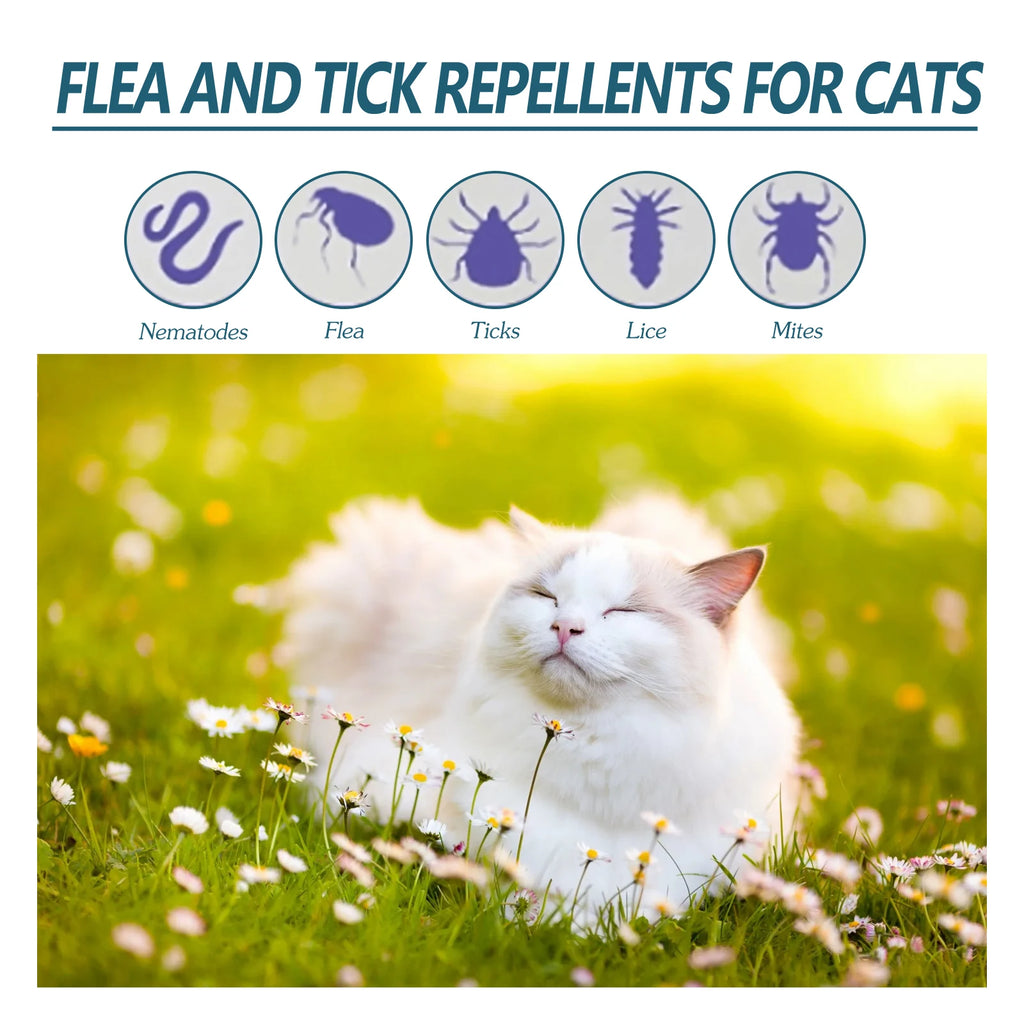 Pet Deworming Drops to Remove Fleas, Ticks, Lice, Mites, Ringworm Treatment, Relieve Pet Itching