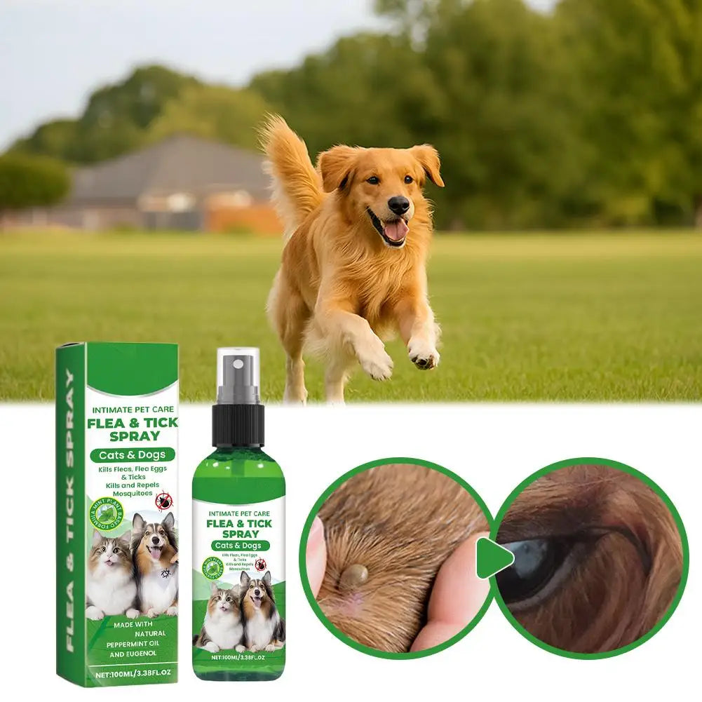 Spray Anti-Puces et Anti-Tiques pour Chiens et Chats 100ml Tue-Puces Soulage les Démangeaisons Répulsif Insectes Anti-Acariens Anti-Poux Soin des Animaux Tue-Moustiques