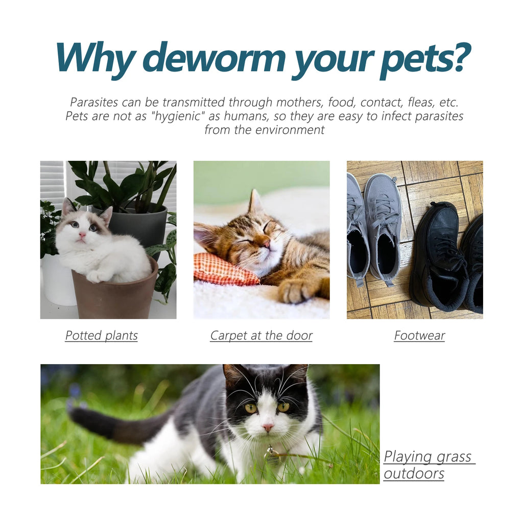 Pet Deworming Drops to Remove Fleas, Ticks, Lice, Mites, Ringworm Treatment, Relieve Pet Itching