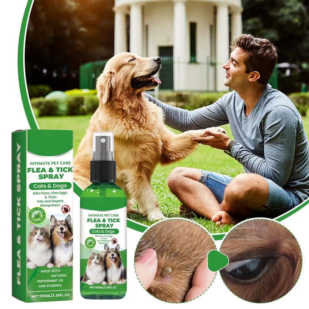 Spray Anti-Puces et Anti-Tiques pour Chiens et Chats 100ml Tue-Puces Soulage les Démangeaisons Répulsif Insectes Anti-Acariens Anti-Poux Soin des Animaux Tue-Moustiques