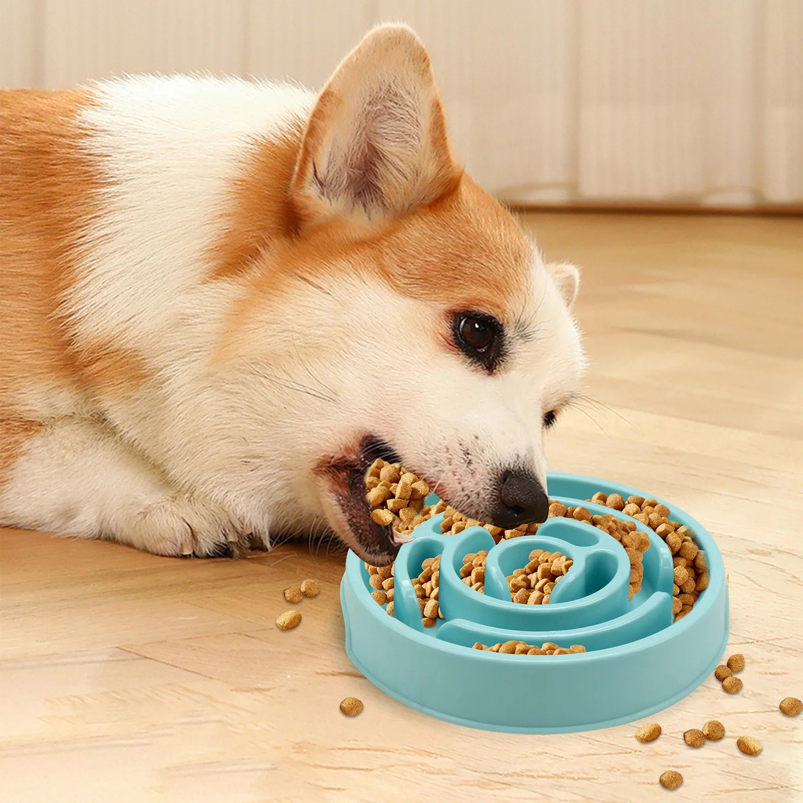 Pet Slow Food Bowl - Non slip and Durable - Suitable for pets of all sizes