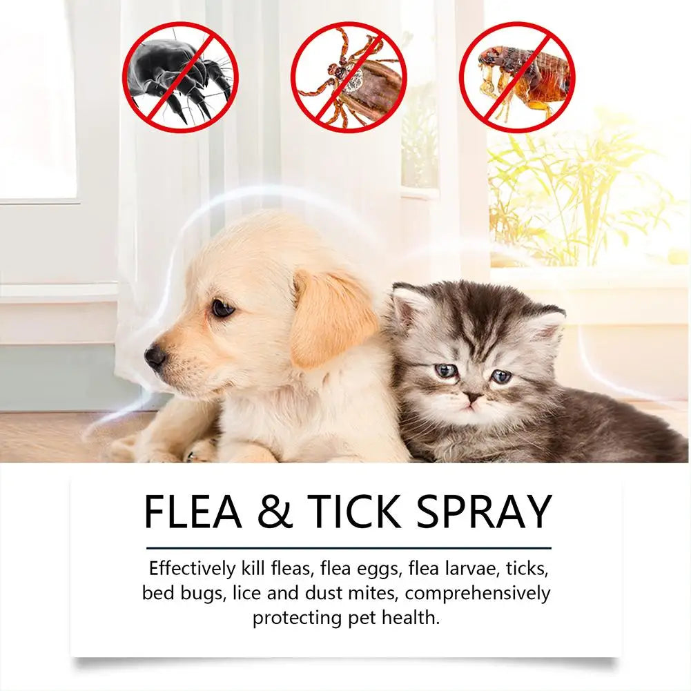 Spray Anti-Puces et Anti-Tiques pour Chiens et Chats 100ml Tue-Puces Soulage les Démangeaisons Répulsif Insectes Anti-Acariens Anti-Poux Soin des Animaux Tue-Moustiques