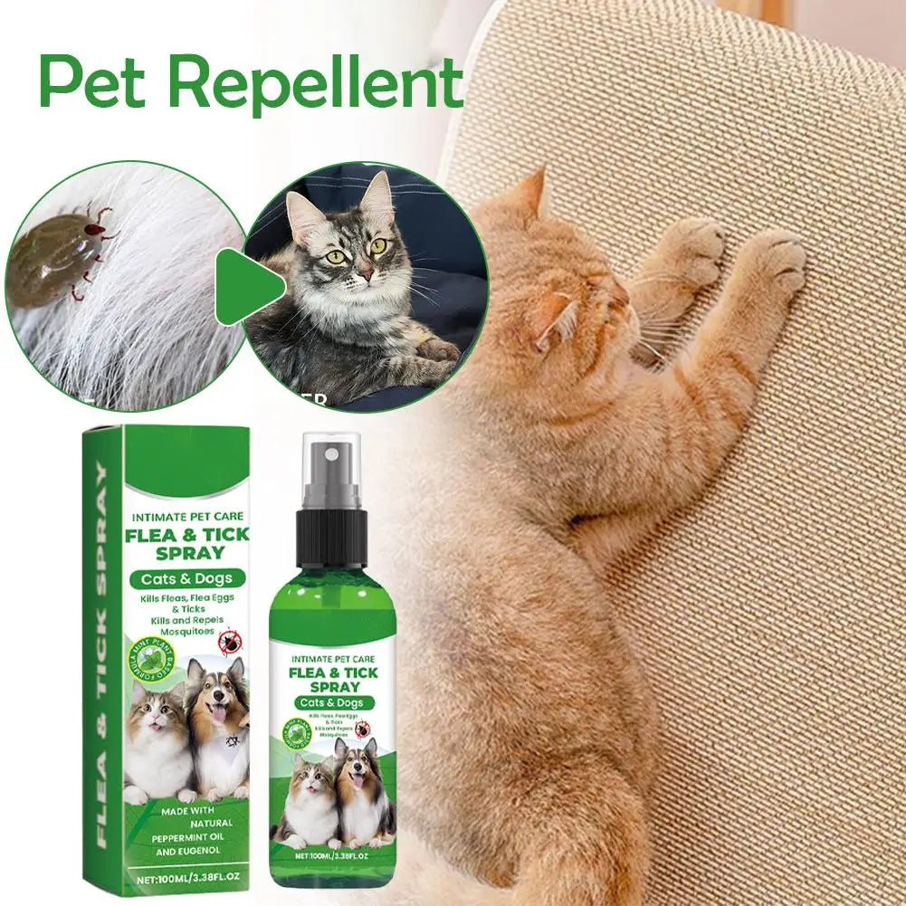 Spray Anti-Puces et Anti-Tiques pour Chiens et Chats 100ml Tue-Puces Soulage les Démangeaisons Répulsif Insectes Anti-Acariens Anti-Poux Soin des Animaux Tue-Moustiques